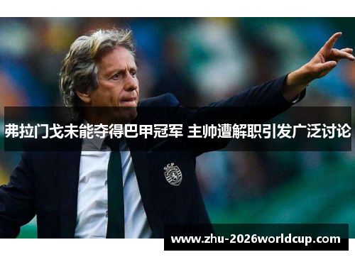弗拉门戈未能夺得巴甲冠军 主帅遭解职引发广泛讨论 弗拉门戈未能夺得巴甲冠军 主帅遭解职引发广泛讨论